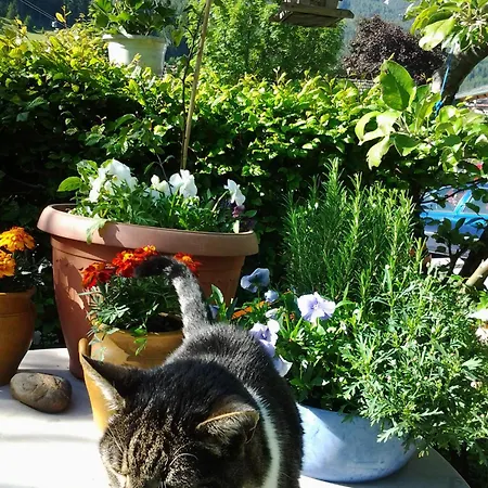 Lägenhet Obex Mieders